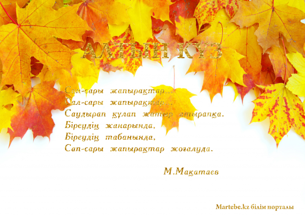 Әуесқой эротика галереялары Сорылған қынаптардың порно видеосы