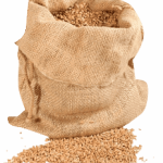 https-oliorosina-com-wp-content-uploads-2016-08-