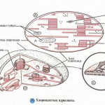 word-image