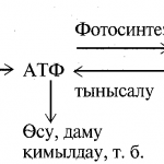 word-image