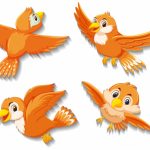 cute-orange-bird-cartoon-character_1639-17770